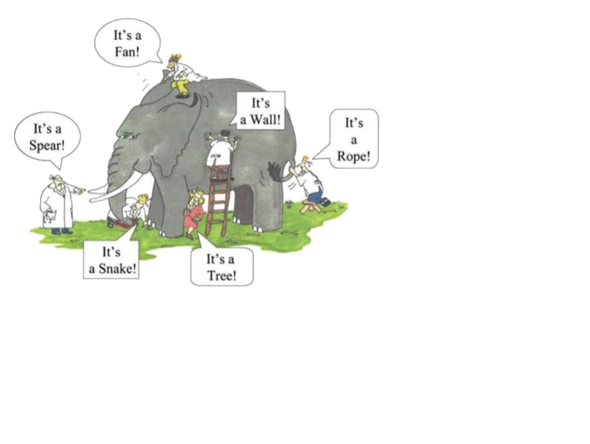 The classic 'blind men and the elephant' cartoon — six experts touching different parts of an elephant and each calling it a fan, a wall, a rope, a spear, a snake, or a tree