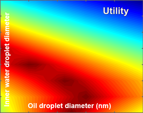 A 2D color-coded utility surface plotted against 'Inner water droplet diameter' on the vertical axis and 'Oil droplet diameter (nm)' on the horizontal axis, with high-utility regions in the upper-right (blue) and low-utility regions in red along the lower edge